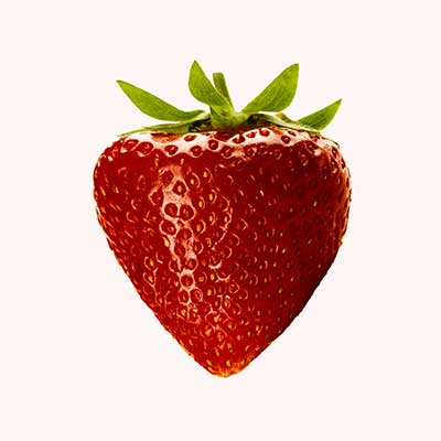 PADUKABET